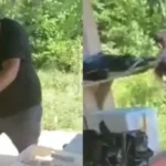 Brutal agresión a perro en Antioquia provoca indignación; piden ayuda para ubicar al maltratador